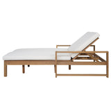 TREXM Outdoor Double Lounge Chair with 5-Position Adjustable Backrest