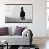 Lone Stallion I