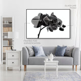 Dark Orchid I