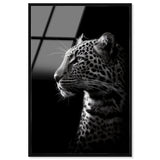 Dark Hunter I