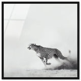 Cheetah Run