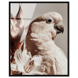 Pale Cockatoo I
