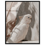Pale Cockatoo III