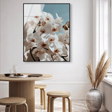 Phalaenopsis Flowers