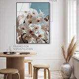 Phalaenopsis Flowers