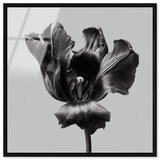 Tidal Wilt II