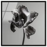 Tidal Wilt III