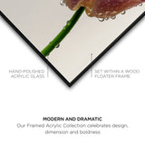 Droplet Tulip I