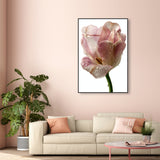 Droplet Tulip II