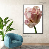 Droplet Tulip II