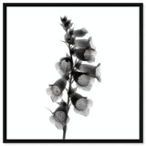 Ossified Petals II
