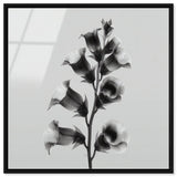 Ossified Petals I