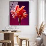 Taffeta Twilight I