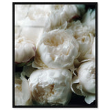Milk White Muse