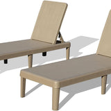 Pool Lounge Chairs Set of 2, Outdoor Lounge Chairs with 6 Positions Backrest Adjustable, Resin Waterproof Chaise Lounge Outdoor for Poolside Patio Garden Deck