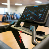 SFE Commercial Pro Treadmill (New)