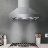42 Inch 1200 CFM Wall Mount Range Hood - VICTORY TwisterMAX