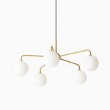 Adelina Chandelier