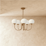 Amelia Chandelier