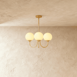 Amelia Chandelier