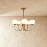 Amelia Chandelier