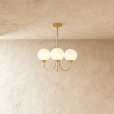 Amelia Chandelier