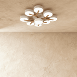 Ashane Ceiling Light