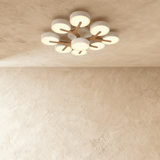 Ashane Ceiling Light