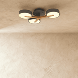 Ashane Ceiling Light