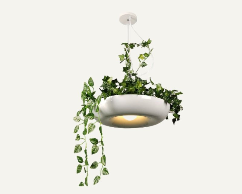 Aula Pendant Light