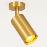 Aurea Ceiling Light
