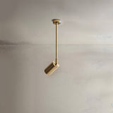 Aurea Ceiling Light