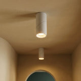 Axel Downlight