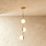 Baer Pendant Light