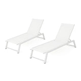 Myers Modern Chaise Lounge Set With Adjustable Back