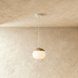 Castanea Pendant Light