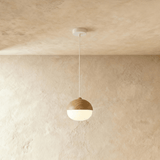 Castanea Pendant Light