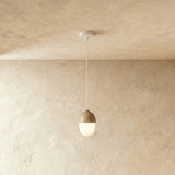 Castanea Pendant Light