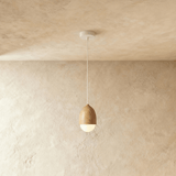 Castanea Pendant Light