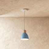 Colorato Pendant Light