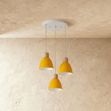 Colorato Pendant Light