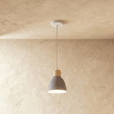 Colorato Pendant Light