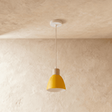 Colorato Pendant Light