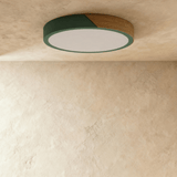 Delphi Ceiling Light