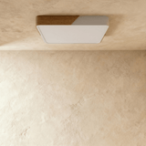 Delphi Ceiling Light