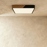 Delphi Ceiling Light