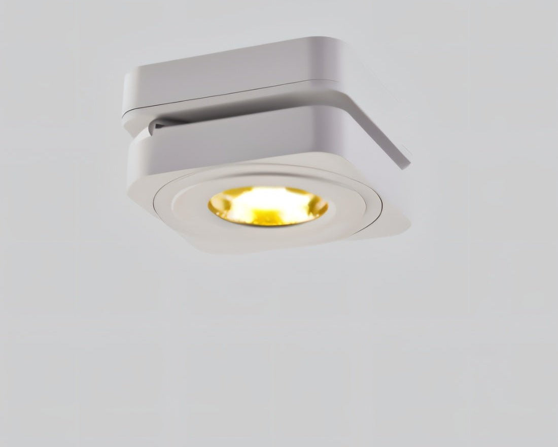 Deltha Downlight