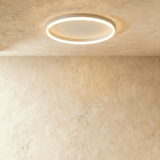 Esperanza Ceiling Light