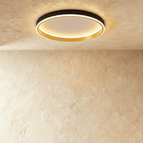 Esperanza Ceiling Light