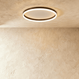 Esperanza Ceiling Light